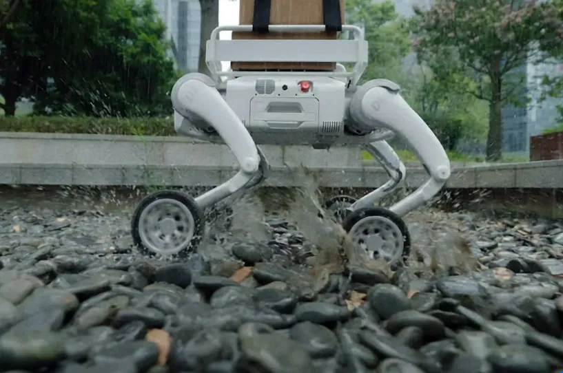 Quadruped robot crossing rough gravel terrain